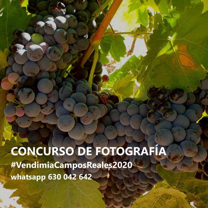 concurso bodegas reales
