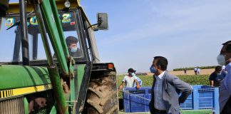 La campaña de melón y sandía enfila su recta final