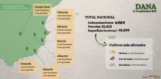 Primer aniversario DANA: el mayor siniestro del seguro agrario español