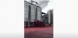 VIDEO: Escape de vino en plena vendimia en Castilla-La Mancha