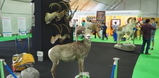 Un centenar de expositores, en la edición online de FERCATUR 2020