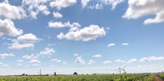 A UPA le gusta el principio de acuerdo de la PAC finca