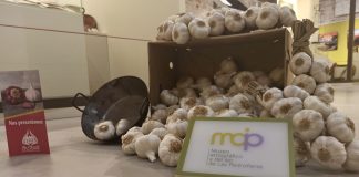 Buen ritmo de visitas al Museo Etnográfico y del Ajo de Las Pedroñeras