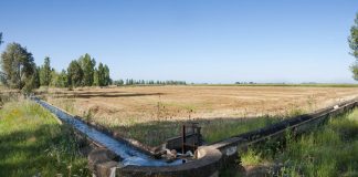 Regantes denuncian recibir 19% de inversión prevista en los planes hidrológicos