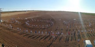 Nuevas protestas contra la macrogranja porcina de Quintanar del Rey