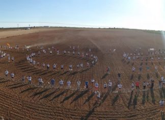 Nuevas protestas contra la macrogranja porcina de Quintanar del Rey