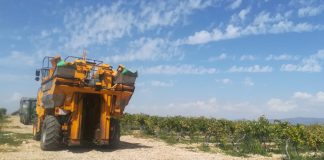 Llega a su fin una vendimia con precios de la uva por debajo de costes en muchas zonas productoras vendimia