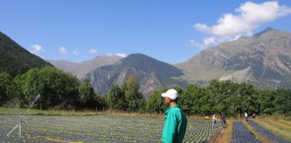 Jornada de trabajo sobre preparación de sectores agroalimentarios ante el “brexit”