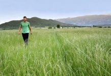 El Gobierno movilizará tierras agrarias propiedad del Estado para ponerlas a disposición de los jóvenes agricultores jóvenes agricultores