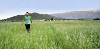 Algo de optimismo en el sector agrario: Esperan muchas solicitudes de incorporación de jóvenes jóvenes agricultores