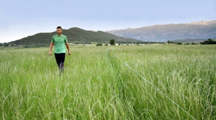 El Gobierno movilizará tierras agrarias propiedad del Estado para ponerlas a disposición de los jóvenes agricultores jóvenes agricultores