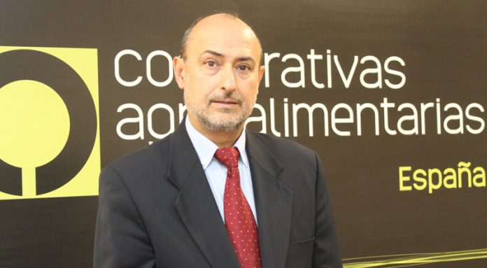 Agustin-Herrero cooperativas agro-alimentarias españa