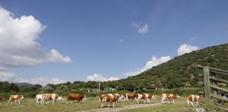 Pide refuerzos para lucha de explotaciones agrarias contra cambio climático