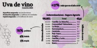 Agroseguro paga este jueves nueva remesa de indemnizaciones a viticultores por daños por siniestros