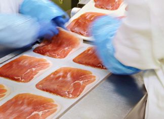 Piden responsabilidad y vigilancia al sector ante la Peste Porcina Africana