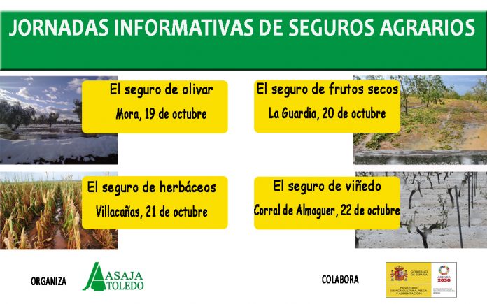 Jornadas_seguros
