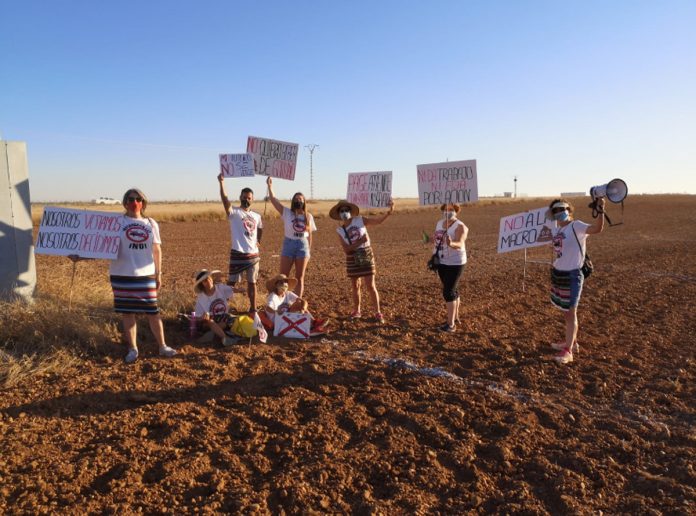 STOP MACROGRANJA QUINTANAR