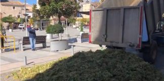 VIDEO: Agricultores de Socuéllamos tiran su uva ante los bajos precios