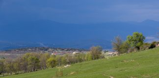 Un nuevo sindicato agrario arranca su andadura vacas