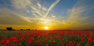 40% de la PAC se destinará a mitigar efectos cambio climático