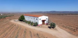 Vinos del Campo de Calatrava: Esencia volcánica