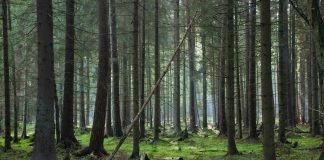 17 millones de euros para ayudas para proyectos innovadores agroalimentarios