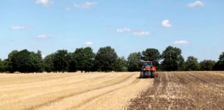 25.000 agricultores y ganaderos toledanos reciben ayudas de tres líneas