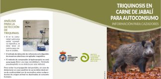 Lanzan campaña prevención de triquinosis en carne de jabalí para autoconsumo