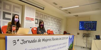 ¿En qué consiste el ‘Ecofeminismo’?