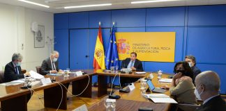 España solicita a CE medidas de apoyo para vacuno de carne