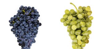 La Denominación de Origen La Mancha incorpora nuevas variedades de uva