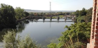 Modernizarán 10.000 hectáreas de terreno de regadío entre Toledo y Madrid