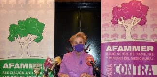 AFAMMER reclama mayor protección para víctimas invisibles de violencia de género