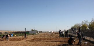 Ocho alumnos se reciclan profesionalmente en la Escuela de Agroecocultura