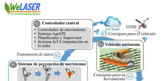 Estudiarán uso de láser para acabar con tratamientos químicos en eliminación de malas hierbas