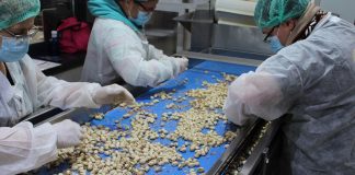 El pistacho español, a mayor calibre, mejor valorado y mayor precio