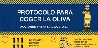 Protocolo para coger la aceituna con COVID, y con humor