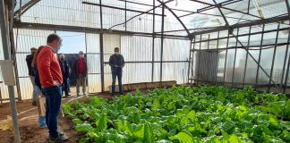 CIAPA de Marchamalo, inmerso en importantes proyectos de investigación agropecuaria