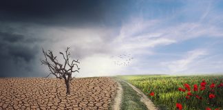 El 30% de los fondos de la UE se destinará a la lucha contra el cambio climático