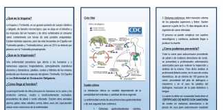 Busca garantizar seguridad alimentaria con recomendaciones para prevenir triquinosis