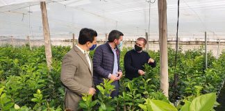 Pide agilidad en el reconocimiento europeo de los productos fitosanitarios