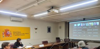 Ve perspectivas de crecimiento notables para el aceite de oliva