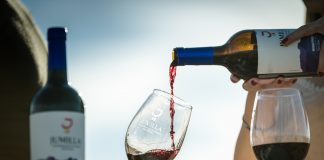 52 medallas para DOP Jumilla en catas otoño ‘The Drink Business’