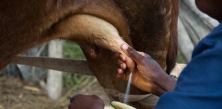 Valora nuevas normas de venta directa pero demanda que no se olvide el tema fiscal y administrativo