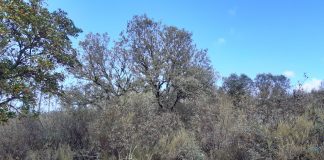 Gobierno de Castilla-La Mancha trabaja en la ampliación de la Red Natura 2000 RED NATURA