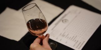 Elegidos mejores ‘Vinos de Cine’ del Festival de Cine y Vino de La Solana Vinos de cine