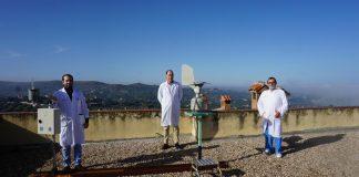 Alergólogos predicen la cosecha de aceituna en función de la concentración de pólenes del olivo