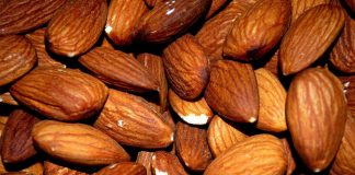 Advierten que cultivo de la almendra tradicional de secano está agonizando almendras