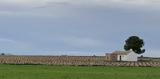 Las decisiones de la Política Agrícola Común (PAC) 2022 repercutirán en las solicitudes de los próximos años