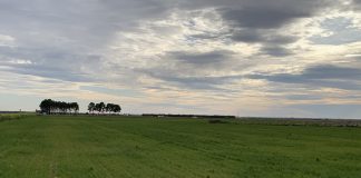 Lamenta reducción del 2% de ayudas directas PAC para 2021 y 2022